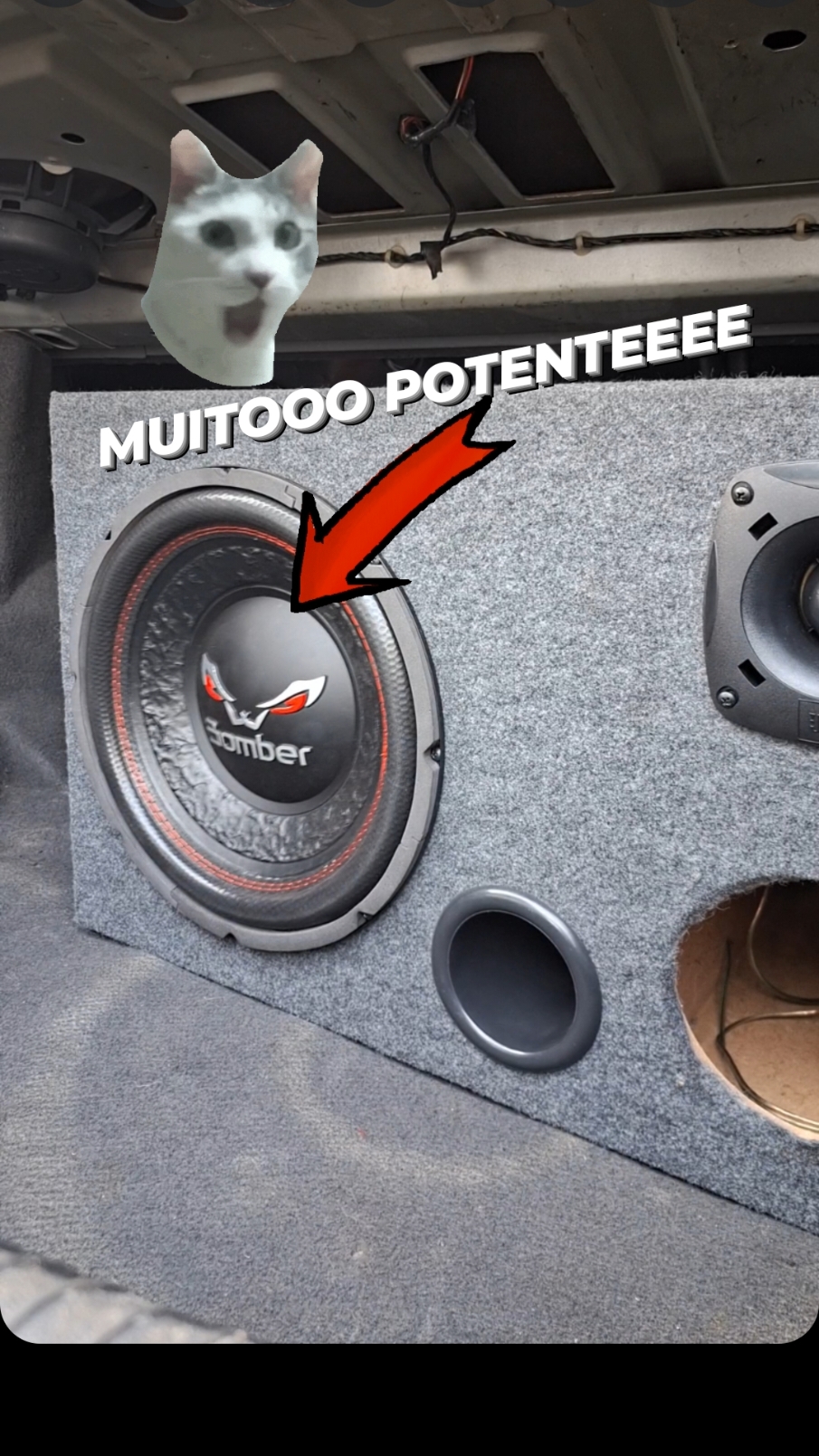 SERÁ QUE O BOMBER BICHO PAPÃO É FORTE? 🔥 #bomber #somautomotivo #taramps #trio #pioneer  #somautomotivo #rebaixados #som #fixa #estilodub #aro #o #somautomotivonaoecrime #carrobaixo #carros #carrosrebaixados #abelvolks #carrobaixonaoecrime #paredao #somautomotivobrasil #choraboy #suspensaoaar #paredoes #brasil #saveirog #rosca #rebaixado #deboxe #ar  #socados #suspensaofixa #somdemala #saveiro @Taramps Oficial  @Bomber 