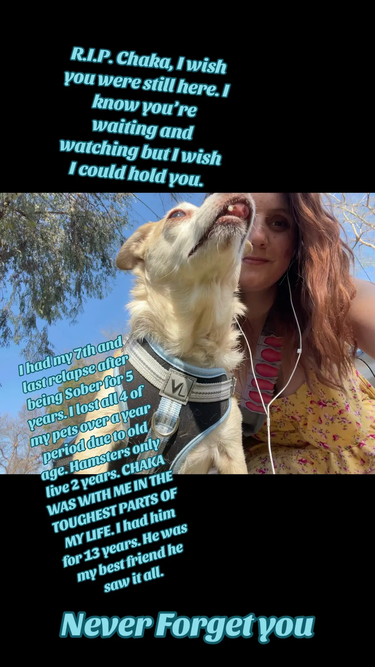 #petloss #furangels 