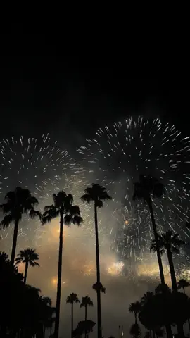 cannes fireworks 🇫🇷🎆