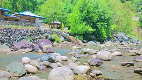کلکوٹ ویلی اپر دید⛰️🌲🏃🏻 . . . . . . #kpk #valley #slomo #vibes #mountain #kpktiktoke #kpkpakistan #naturalbeauty #upeerdirloctaion #naturlovers #advanturetime #travling_with_life 