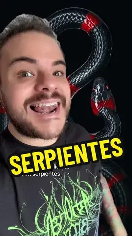 Las 5 mejores peliculas con serpientes y viboras #serpiente #serpientes #cine #peliculas #netflix #cinefilos #cinefilo  
