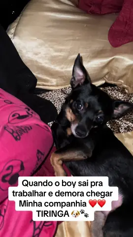 Meu filho ❤️ #foryou #fyp #pet #filho 