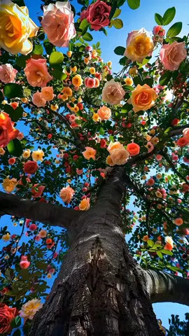 أسأل الله العظيم في يوم الجمعة #دعاء  #دعاء_يوم_الجمعه  #دعاء_يوم_الجمعه  #اللهم_صل_وسلم_على_نبينا_محمد  #دعاء_يريح_القلوب  #دعاء_جميل  #يوم_الجمعه  #جمعة_مباركة #اللهم_امين_يارب_العالمين  #جمعة_مباركة  #جمعه_طيبه_بذكر_الله  #اللهم_لك_الحمد_ولك_الشكر #اكتب_شي_توجر_عليه   #اكسبلور  #explore 