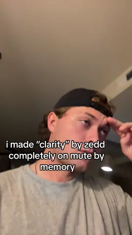 99% accurate clarity by zedd remake on mute from memory!! #zedd #clarity #edm 
