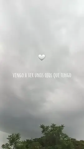 @Brayan Basilio #especial#paratii 👀💗#tigrillopalma #fouryou 