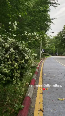 ❤️💐#เธรด #ดันขึ้นฟีดที #อยากอยู่ในสตอรี่ #อย่าปิดการมองเห็น #เธรดเพลง #ความรู้สึก #tiktok #fyp 