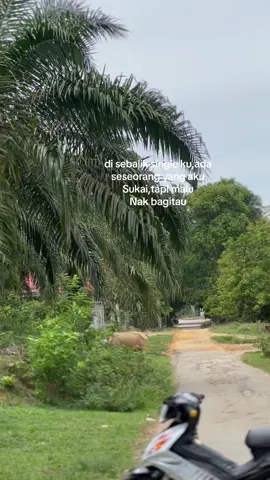 Hanya dia xtahu siapa#lc135 