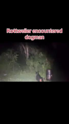 Rottweiler attack, dogman ##TikTok##trending##trendingvideo##paranormal##realorfake?##love🤪##michigan##funny##crazy##mysteries##cryptidsighting##wildlife##Rottweiler##WTF##scary
