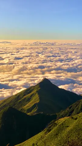 Susah banget mau move on sama merbabu🥹 #merbabu #pendakigunung #gunungindonesia 