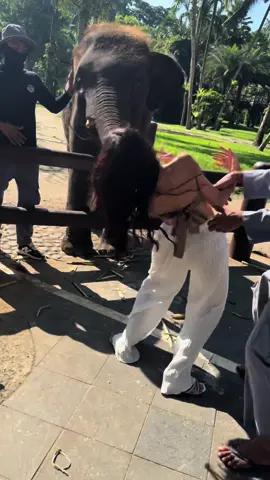 Jajajajajja pobre @Pao 😂🥲 #risa #videosderisa #aloqueyovinefueaesto 