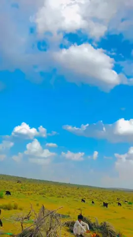 #viral #myvideo #tiktokteam rohi 🐐🐐🐐🐐🐐🐐🐐🐐#foryou #fouryoupage 