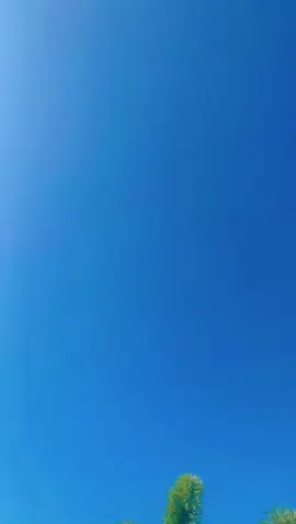 SMK LAHAR MANIA PONDOK PESANTREN ASSYAHIMI LAHAR MANIA SUMBERKLEDUNG TEGALSIWALAN PROBOLINGGO JAWA TIMUR  #pondokpesantrenassyahimilaharmania #laharmanialovers #mashajigaul #masgaul #laharmania #probolinggo #sumberkledung #laharmanialoversnusantara #laharmanialoversjawatimur #laharmaniaprobolinggo @COMMUNITY PCX LAHAR MANIA @Kaconk#selep @Hadid_Ikhsan @Mas Haji @GALBI ANA 76 @Mas Haji Gaul @~ @Neng Audy @MEDIA LAHAR MANIA @LCS LIGHTING 