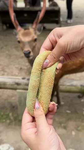 アイアイアイアイの掛け声で有名な高速もちつき🫷🫷 ◎よもぎ餅　180円 【店舗】中谷堂 【住所】奈良県奈良市橋本町２９ 【アクセス】近鉄奈良駅から徒歩4分 【営業時間】10:00-19:00 【定休日】なし 【予算】￥180～￥2,000 今話題の、 高速餅つきの見学ができる よもぎ餅屋さん😋 餅つきの見学は 