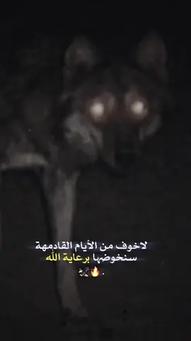 #يزن #مهيب #اللهم_صل_وسلم_على_نبينا_محمد #محمود_الجبلي #شعر #قصيد #ابيات #قصايد #ما #اكس #foryoupage #viral #foryour #explore #fypシ゚viral #fyp 
