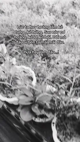 #xuhuongtiktok #xuhướng #xhtiktok #caphay #kẻbảnlĩnh #đời #xãhội @5 black @NNHH 🛩 