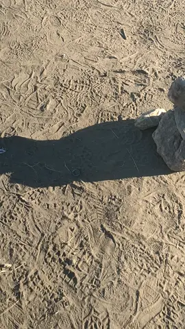 Mentahan •Gunung Buthak 23 Juli 2024 •Jam 15.00 wib. #fyppppppppppppppppppppppp #buthak_2868_mpdl #fyp #gunungbuthak #gunungbuthak2868mdpl 