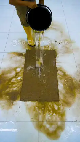 Extremely dirty carpet cleaning  #satisfying #asmr #cleaning #carpet 