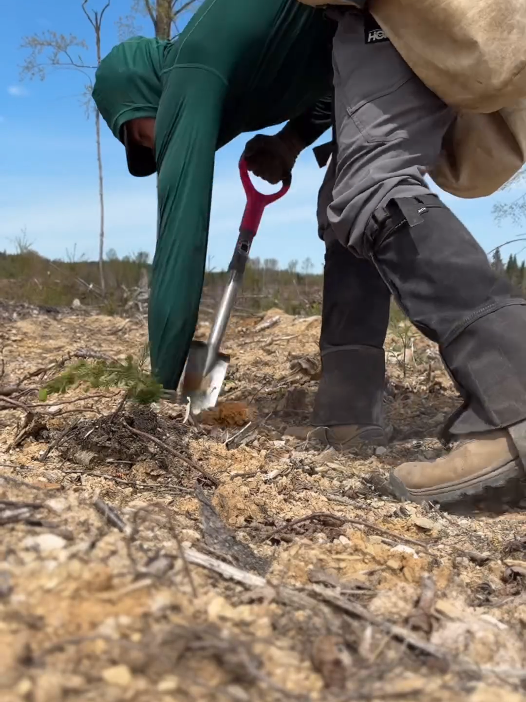 Life of a tree planter 💚 (IG🎥: @antomosplant) #Unreel #Extreme #Trees #Planting #Sustainable