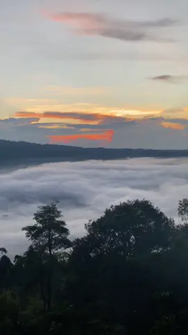 Wirr, bukit asahan lagi bagus bagusnya, yakin gamau berburu lautan awan dsini? #lampungbarat #lampungpride #lampung #camping #campinglife 