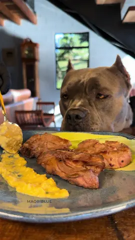 Carne de Cordeiro com Creme de Milho 🐾