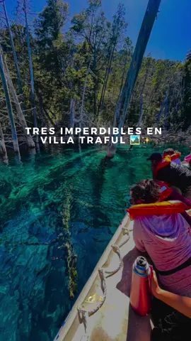 Estos son 3 imperdibles en Villa Traful 🤯👇 👉 El bosque sumergido 👉 La puntilla  👉 Rio Minero  Si estás buscando un alojamiento @rucalico_traful 😌 . . . . . . . . #argentina #turismoargentina #turismo #ig #visitargentina #travel #paisajes #patagonia #patagoniaargentina #buenosaires #naturaleza #tripinargentina #travelarg #argentinos #vacaciones #viviargentina #a #arg #nature #photography #travelphotography #landscape #travelargentina #viajes #paisajesargentinos #viajar #ok #cordoba #turismonacional #pueblo