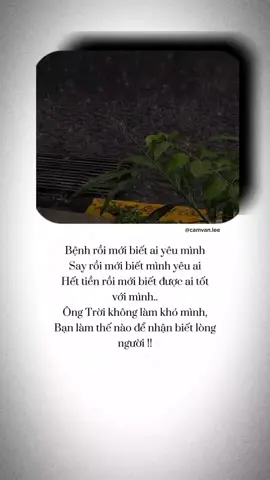 Ông Trời không làm khó mình, bạn làm thế nào để nhận biết lòng người... #camvanlee #camvan🧷 