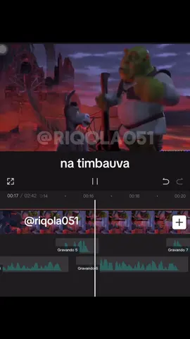 bah se perderam mkkk #fy #fyp #meme #dublagem #shrek #gaucho #rs #portoalegre #poa #éosguri #sul 