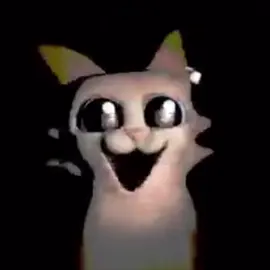 кот в темноте мем кот под песню персона 4 cat in darkness meme cat with persona 4 music