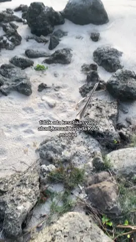 #realmadrid #fyp #foryou #masukberanda #xybca #halamadrid #madridista