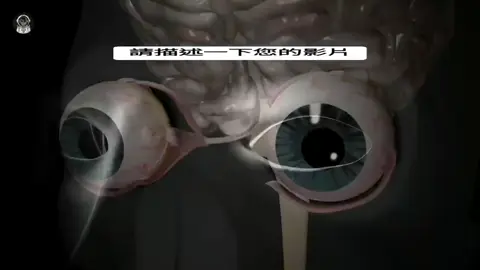 眼睛为什么不能被我们的身体发现呢？ #科普知識 #眼睛 #科普小知识 