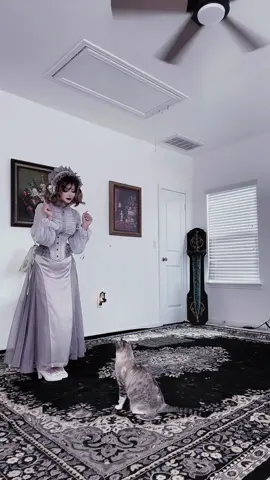 💃🏻🐈💃🏻🐈💃🏻🐈