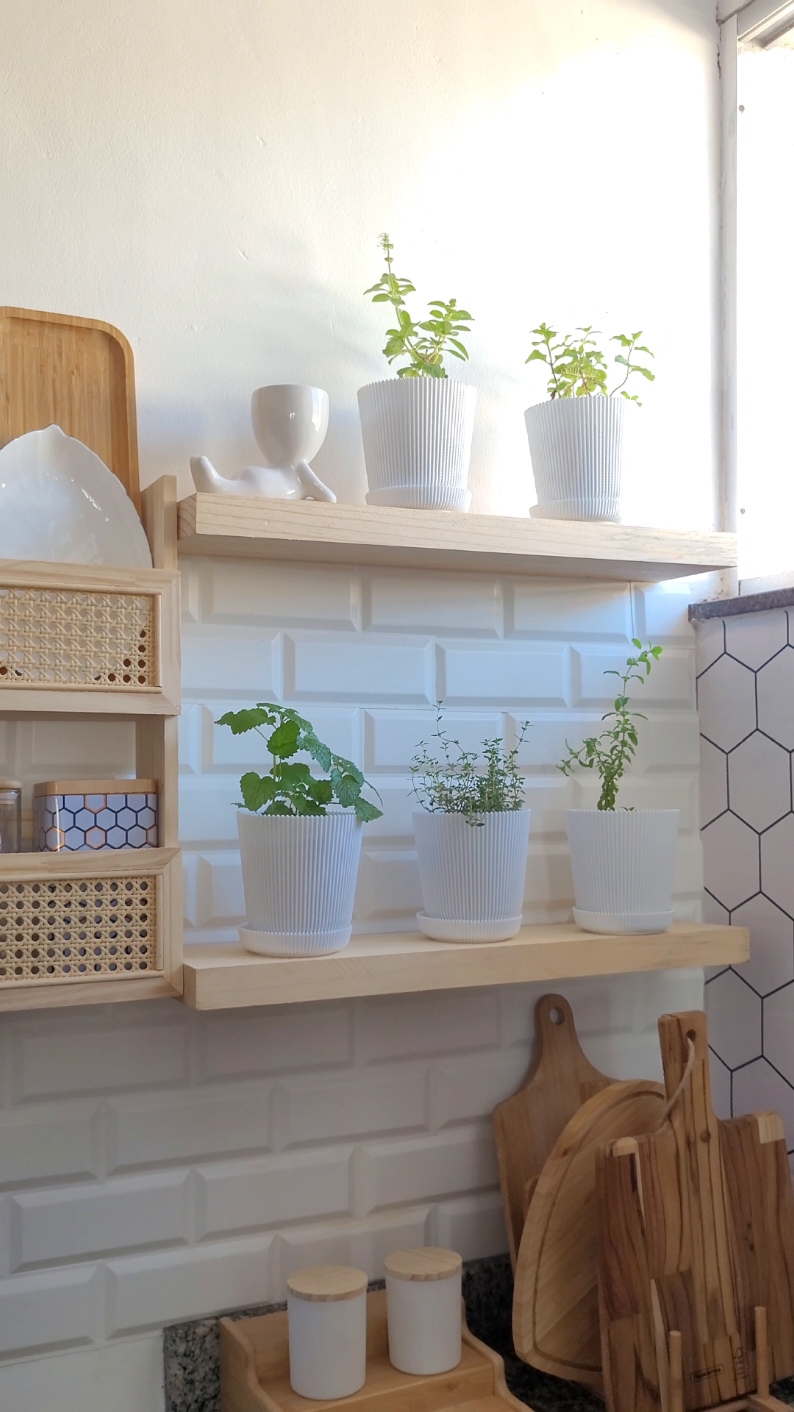 Comprei n a@Shopee Brasil  esse kit  de prateleira eeswe kit com 5 Vasinhos pra fazer uma horta  vertical  na minha cozinha.  Digite  