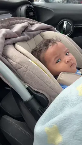 #pesopluma #rabanito #paoindomables 