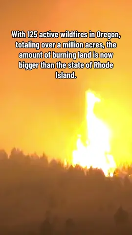 Rhode Island is around 988,800 acres #oregon #news #wildfire #portland #oregonnews 