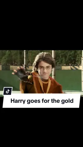 harry will do anything to get the gold(en snitch) 💪 #harrypotter #movierecommendations #quidditch