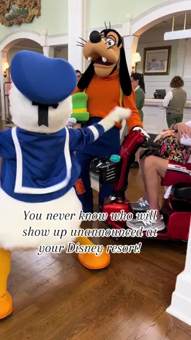 Have a resort day planned during your stay at Walt Disney World? Check your lobby in the afternoon anywhere from 1-3pm! You never know who will stop in! #donaldduck #danceparty #disney #disneytok #waltdisneyworldparks #waltdisneyworldresort #disneyworld 