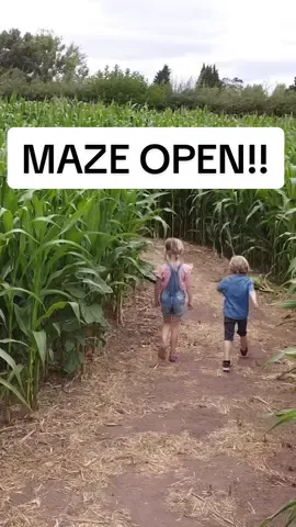 Our Olympic Maze is now open! Navigate the winding paths finding our sprinters, gymnast, weightlifter and other olympic heroes along the way! 🏋️ And don’t forget to take a pic on the podium when you escape!🥇🥈🥉 For just £3.50 per person, it’s the perfect summer family activity. Head to kenyonhall.co.uk to find out more and get your tickets! 📍Kenyon Hall Farm, Winwick Lane, Croft, Warrington, ​WA3 7ED #kenyonhallfarm #maze #olympics #paris2024 #teamgb #maizemaze #warrington #cheshire #manchestermums #schoolholidays #FamilyFun #farmtok