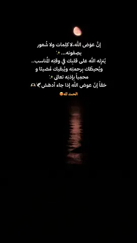 عوض الله دائما أجمل🥰الحمد لله ملء كل شيء😍الحمد لله كثيييرا🥰🕊️#alhamdulileh #الحمد_لله_رب_العالمين #الحمد_لله_على_جميل_عطاياه #عوض_الله_أجمل #عوض_الله_جميل #عوض_الله_اجمل #عوض_الله #العوض_الجميل #عوض_الله_دائما_اجمل_واعظم 