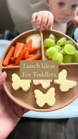 Quick and easy lunch ideas for toddlers ✨ #momtok #MomsofTikTok #roadto10k #roadto5k #followtrain #toddlermeals #toddlermom #lunchideas 