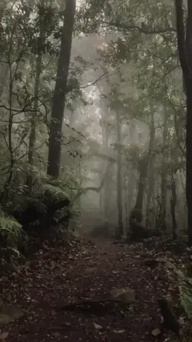 #CapCut #horor #tamplatecapcut #soundhoror #mountain #fyp 