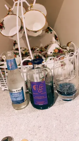 Colour changing gin from @Gee Gee Gin #gin #fevertree  #Summer #royalwelsh #countryshow #rwas 