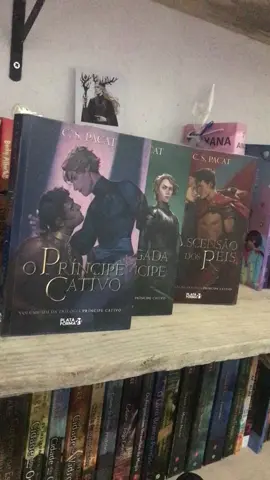 Parabens… . . . . . #pacat #principecativo #darkromance #booktokbrasil #livrostiktok #leitoresdotiktok 