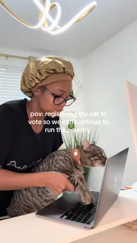 Childless Cat Ladies Unite! 🐱✊🏽  #vote #registertovote #election #foryoupage #fyp #2024election #cattok #catmom #childlesscatlady 