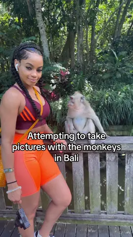 I should’ve left him alone. Real trench monkeys fr 😭 straight in ya purse. they were taking any & everything 😫 #travelbucketlist #monkeyforest #monkeyforestbali #monkeyselfies #monkeysanctuary #bali #monkey #thingstodoinbali #wildmonkeys #balitravel #balitrip #traveltok #blackgirlstravel #blacktravelfeed #monkeysoftiktok #pictureswithanimals #OhNo 