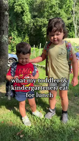 what my toddler eats for lunch! june & oliver had camp together this week, so i finally got to pack lunches for them both! i was a little nervous how oliver would do, but he was a hungry guy! #whatmytoddlereats #toddlerlunch #toddlerlunchideas #kindergartenlunch 