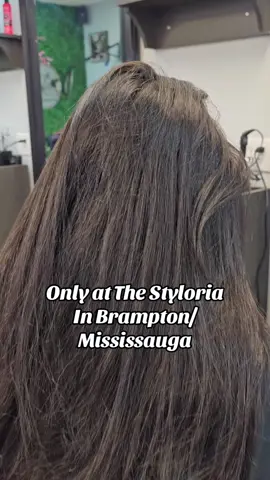 #brampton #mississauga #hairsalon #bramptonhairsalon #hairsalontiktok #blowthisup #canada #foryoupage #fyp #viral 