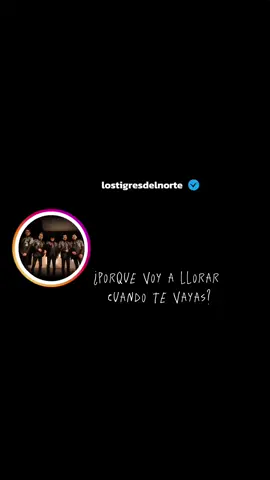 ni parientes somos___los tigres del norte #niparientessomos #lostigresdelnorte #regionalmexicano #ex #elsalvador #parati #viral #mexico #capcut #lyrics #sad #music #mewing 
