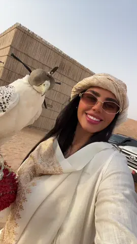 #emiradosarabes #abudabi🇦🇪 #aguia #passaro #deserto #viral #foryou 