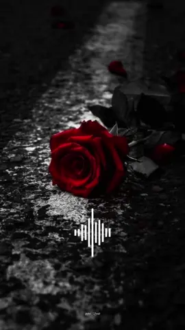 #letrasdecanciones #musicaparaestados #cancionesparahistorias #rolitaschidas #paradedicar🙈❤️🙈 