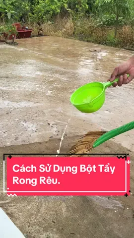 Cách để sử dụng bột tẩy rong rêu. #kenhcuatoan #bottayrongreu #xuhuongtiktok 